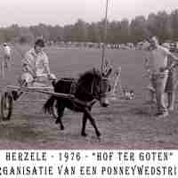 <strong>Ponykoers hof ter Goten  -  1976</strong><br> ©Herzele in Beeld<br><br><a href='https://www.herzeleinbeeld.be/Foto/1133/Ponykoers-hof-ter-Goten-----1976'><u>Meer info over de foto</u></a>