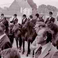 <strong>Inhuldiging Deken Jozef Van Paepegem  -  1973</strong><br> ©Herzele in Beeld<br><br><a href='https://www.herzeleinbeeld.be/Foto/1299/Inhuldiging-Deken-Jozef-Van-Paepegem-----1973'><u>Meer info over de foto</u></a>