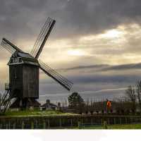 <strong>Houten staakmolen te Rullegem</strong><br>2020 ©Herzele in Beeld<br><br><a href='https://www.herzeleinbeeld.be/Foto/1825/Houten-staakmolen-te-Rullegem'><u>Meer info over de foto</u></a>