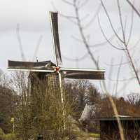 <strong>Houten staakmolen te Rullegem</strong><br>01-01-2020 ©Herzele in Beeld<br><br><a href='https://www.herzeleinbeeld.be/Foto/2016/Houten-staakmolen-te-Rullegem'><u>Meer info over de foto</u></a>