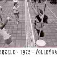 <strong>Volleybalclub Unic  -  Halfweg jaren 70</strong><br> ©Herzele in Beeld<br><br><a href='https://www.herzeleinbeeld.be/Foto/849/Volleybalclub-Unic-----Halfweg-jaren-70'><u>Meer info over de foto</u></a>
