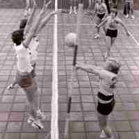 <strong>Volleybalclub Unic  -  Halfweg jaren 70</strong><br> ©Herzele in Beeld<br><br><a href='https://www.herzeleinbeeld.be/Foto/851/Volleybalclub-Unic-----Halfweg-jaren-70'><u>Meer info over de foto</u></a>